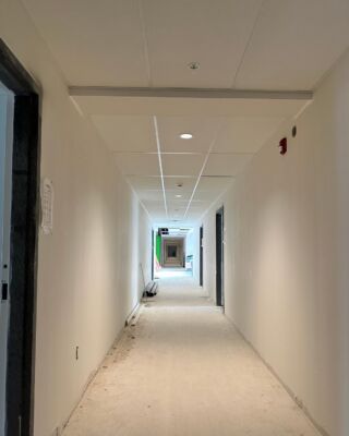 Mose Drywall Systems Ltd. photo 4